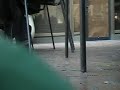 Free clip of the month - April Free clip of the month - April