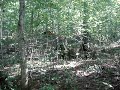 ghillieman stalk (kinda)