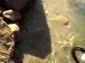 Castaic Lake Bass and Stripers Castaic Lake Bass and Stripers