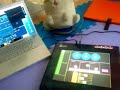 Lemur & modul8