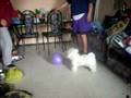 matilde y su globo