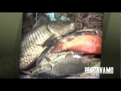 Italian Fishing TV - Come Pescavamo - A carpe in inverno Italian Fishing TV - Come Pescavamo - A carpe in inverno