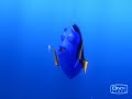 Dory says hello to Squishy