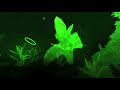 Green is the color of hope. Green is the color of plants. Also Peppermint is Green. The Color Green is the color of life. About the color green see en.wikipedia.org Music: Written and produced by Cio D'Or and Donato Dozzy. 
