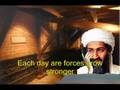 videos de Bin Laden