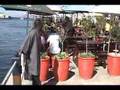 419-Scammer-Scammed-