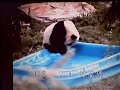Tai by Pool
