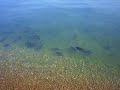 Raj za pecanje,Das Paradies zum fischen,Fishing,krupna riba,