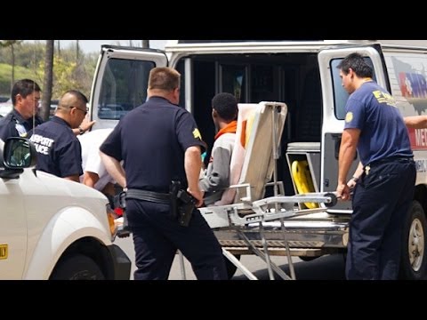 How did teen survive in an airplane wheel well?