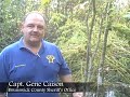 Green Swamp marijuana operation