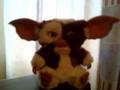 Gizmo singing