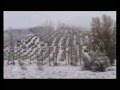 VIDEO MONTEFRÍO NEVADO 2008