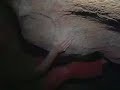 boulderproject-with-chris-sharma.html