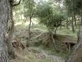 descenso y freeride