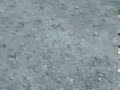 wrecks-no-wheel-turn-up-the-volume.html