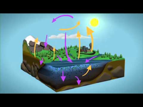 how to measure npp and gpp