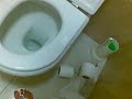 me n jade 165 in toilets me n jade 165 in toilets