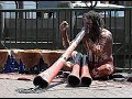 aboriginal man playing didjeridoo at circular quay