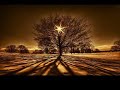 Soundstorm - Iris (Original Mix)