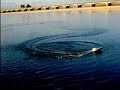 RC BOAT IN THE RIVER.RC CAR RC TRUCK RC BUGGY