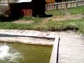 Nagy eses balvanyioson Nagy eses balvanyioson