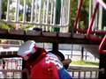 videos de The Adventures of Tamega Petey