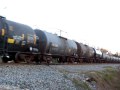 NS 330 (11-03-09)
