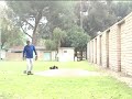 knuckle-ball-1.html
