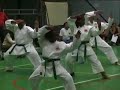 RyobuKai Aruba 12-04-08 Kata RyobuKai Aruba 12-04-08 Kata