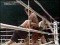 Genki Sudo vs Royler Gracie