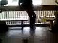 Highschool Girls Fight