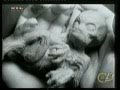 FOKUSZ .T V.Magyar U F O Esetek.. Es kepek. Endre Kriston.RYUFOR., es Laszlo Novak U F O.. FOKUSZ .T V.Magyar U F O Esetek.. Es kepek. Endre Kriston.RYUFOR., es Laszlo Novak U F O..