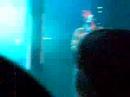 clip 3 of 5 of julee cruise & pluramon live at the oslo-club bl� 14/11-2005. the song is 