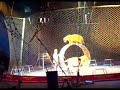 Ringling brothers Barnum and Bailey Circus