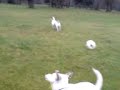 playtime playtime