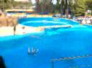 marineland