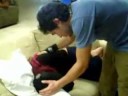 d&p d&p