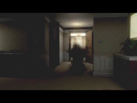Vidéo 1