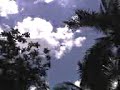 04-03-09_1218.3gp
