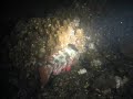 PADI Advanced, Night Dive - 19. Oct. 2006