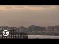 The Starlings of Brighton Pier