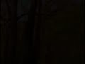 Thumbnail #3