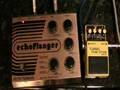 Electro Harmonix Echo Flanger Demo