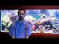 Pet Fish Care : Where to Buy Discount Fish Tank Supplies