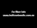hot sexy swimwear collection - worn by paris hilton, elle macpherson, kate bosworth, kimberly stewart,