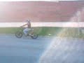 Hamos PR dtr
