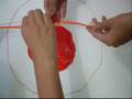 videos de MEIOSE :)