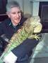 iguana leguanen Kiwi met Koos samen