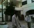 videos de un domingo en el perto