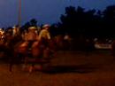 Raleigh Rodeo (3)